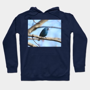 Indigo Bunting No.7 Hoodie